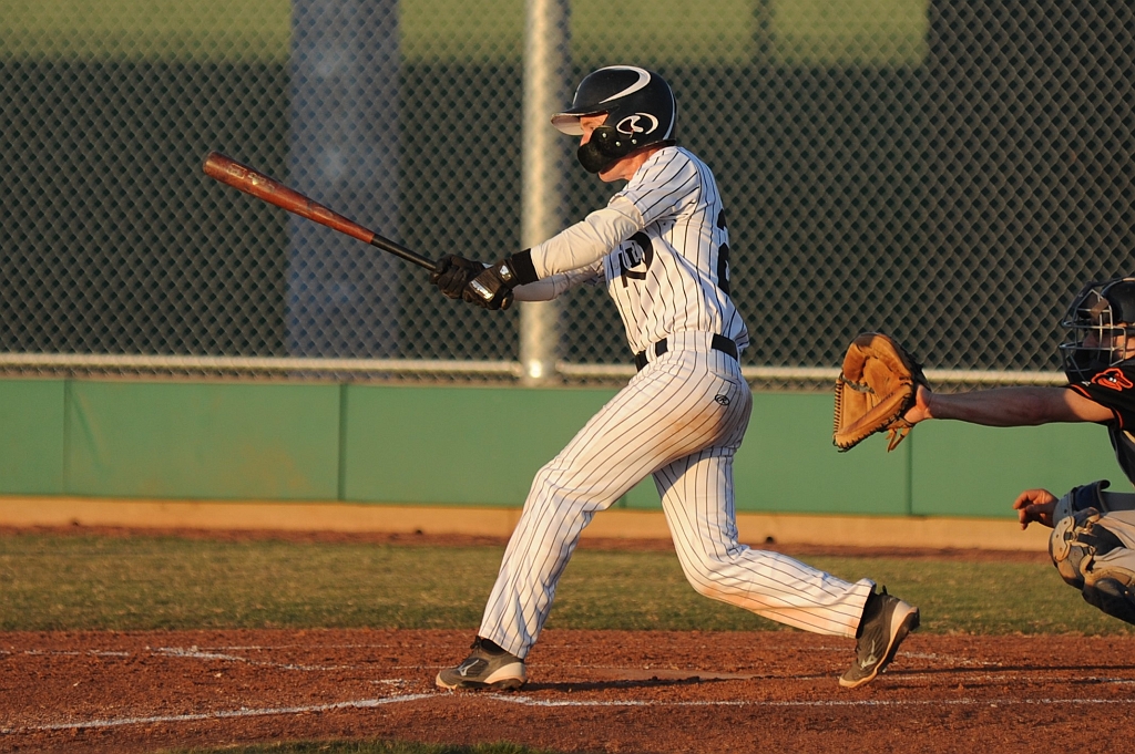 Seals_2019-08-23 (362).JPG - (c)2010 DeVetter